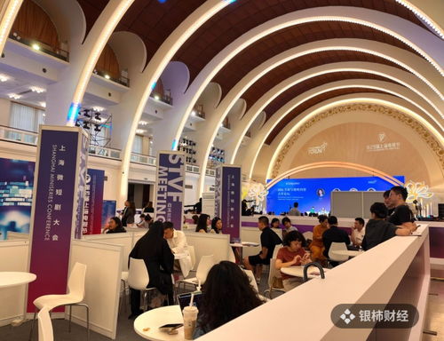 直击上海电视节 精品化成为风向,上海抢抓打造微短剧 造梦工厂